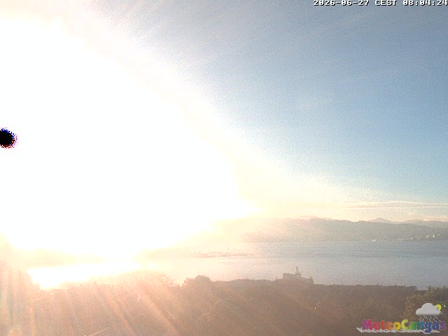 Camera Live Image